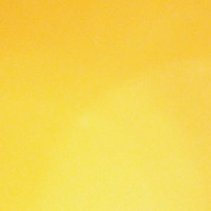 Meet your Posher, Cecilia